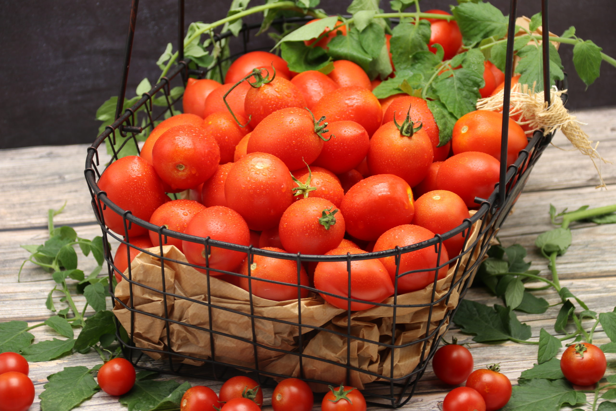 Produkt des Monats August